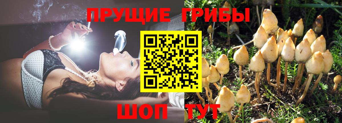 Псилоцибиновые грибы ЛСД Кирово-Чепецк