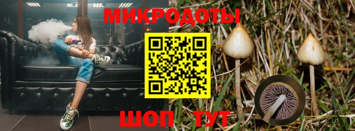 Галлюциногенные грибы мицелий  Вход с VPN  где найти наркотики  Кирово-Чепецк 